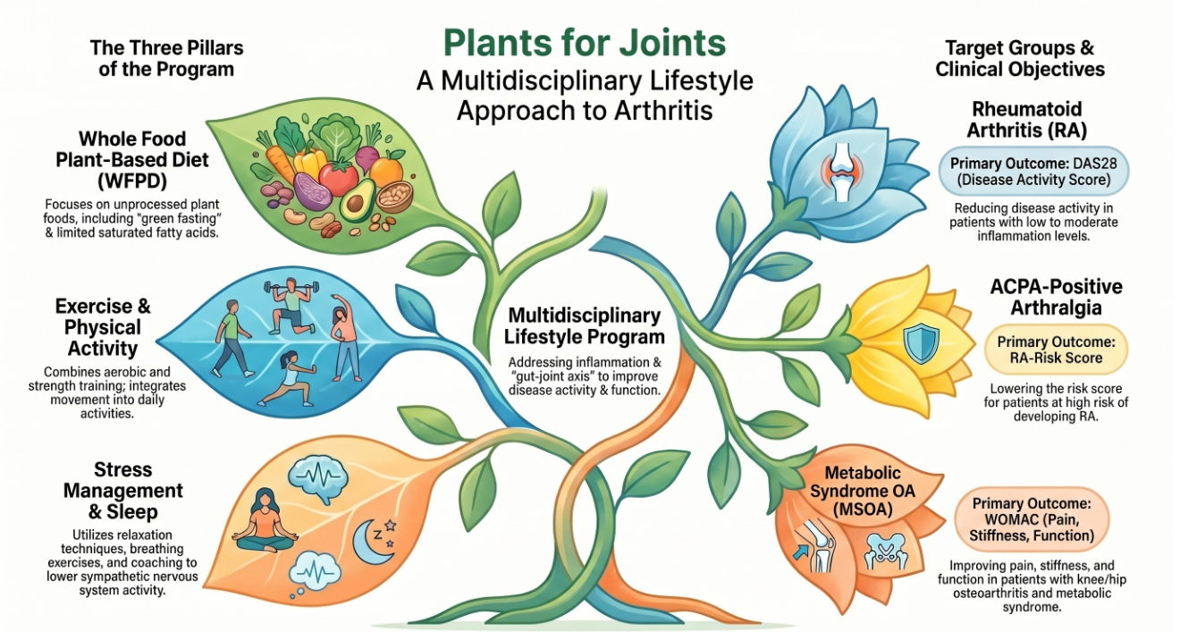 Plants for Joints — a multidisciplinary lifestyle approach to arthritis, showing the three pillars (whole food plant-based diet, exercise, stress management) and target groups (RA, ACPA-positive arthralgia, MSOA).